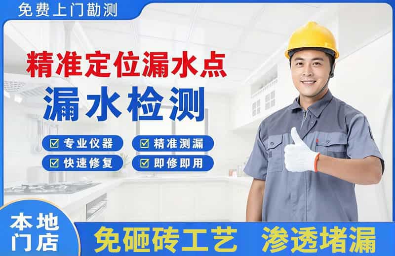 桃城精准测漏点